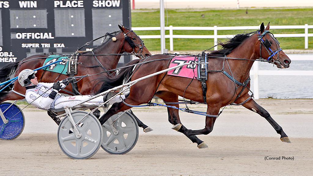 Sassy By The Sea Repeats In Ohio Sires Stakes