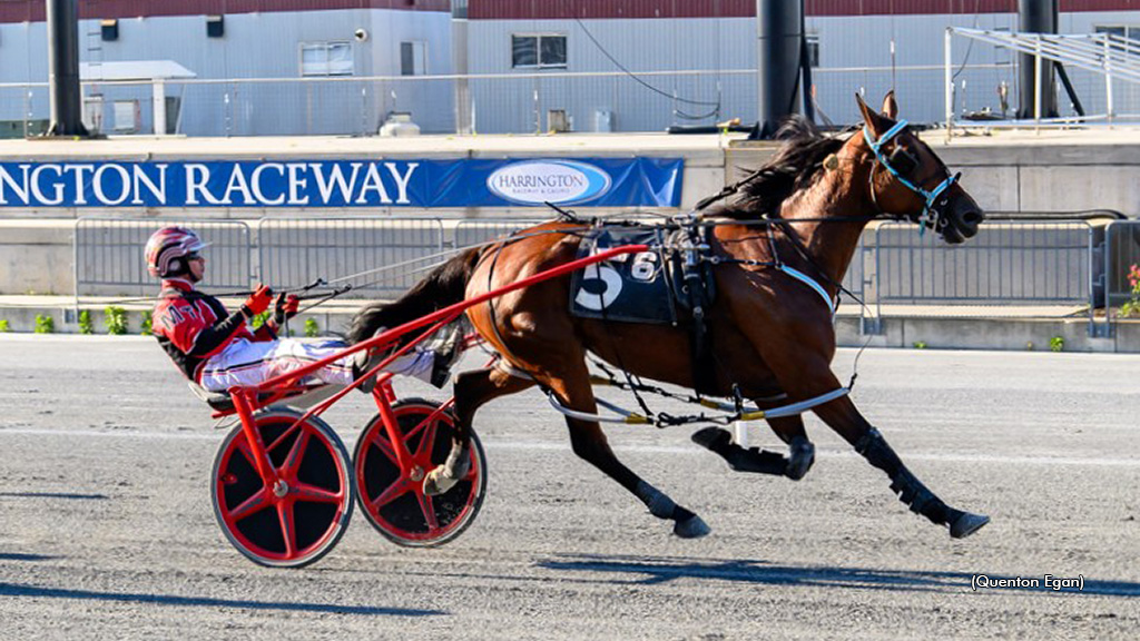 Stevie Hanover Scores In Harrington Open