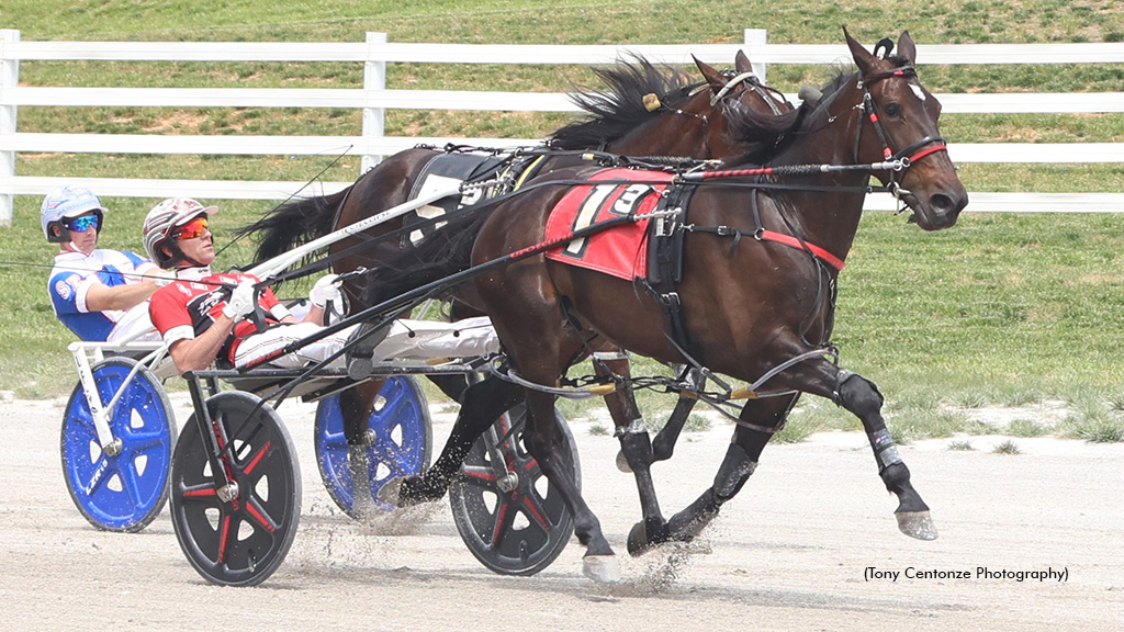 Three Times Bettor