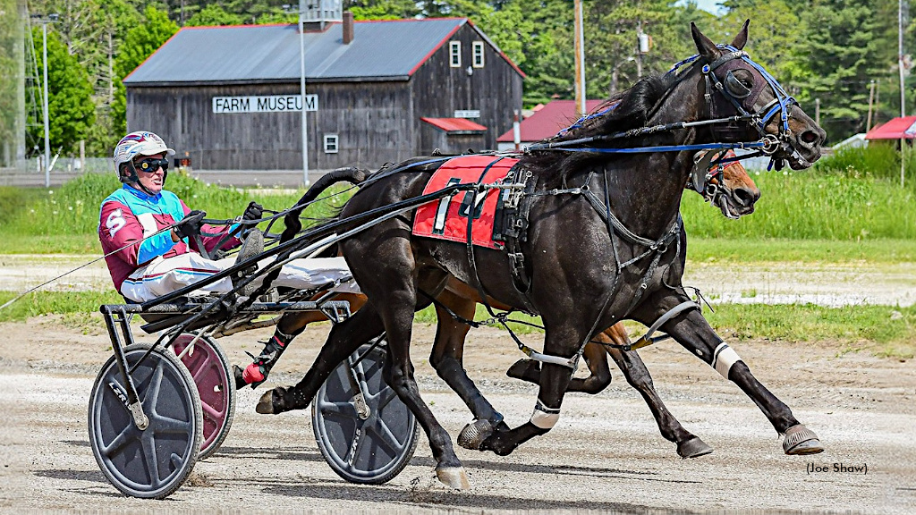 Cumberland's Top Trot To Top Down