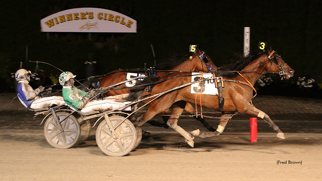 Tioga Open Wins For Tuis Angel, Sweet Hayley Jane A