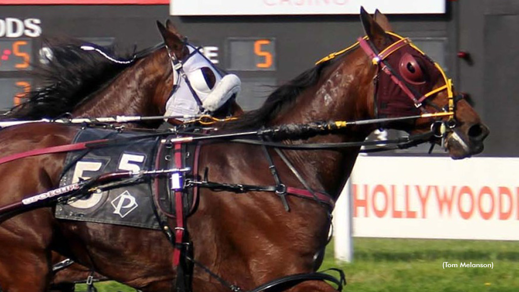 Turn The Page N, Resolve To Win Swift In Plainridge Opens