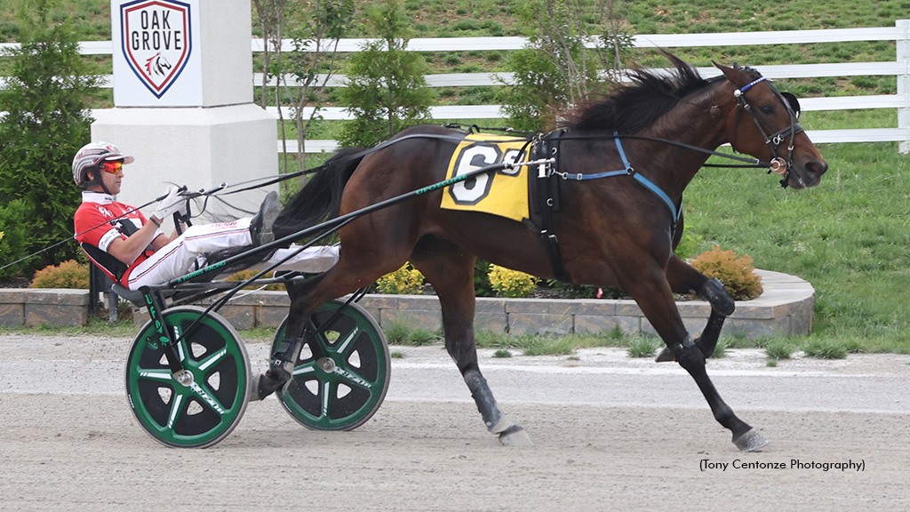 Whiskey Wow Breaks Oak Grove Trotting Record In KYSS