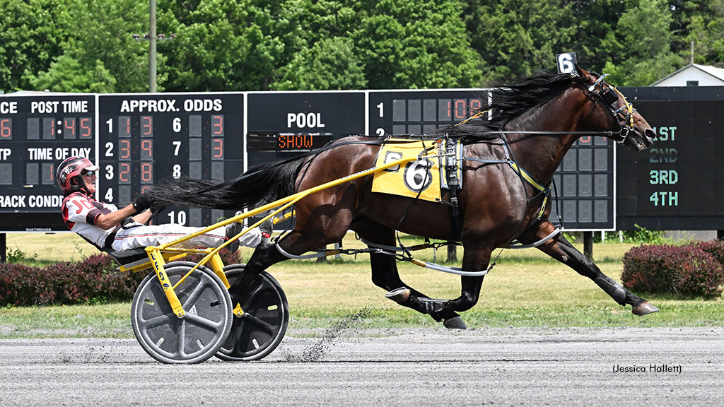Ahi Sunshine winning at Saratoga Casino Hotel