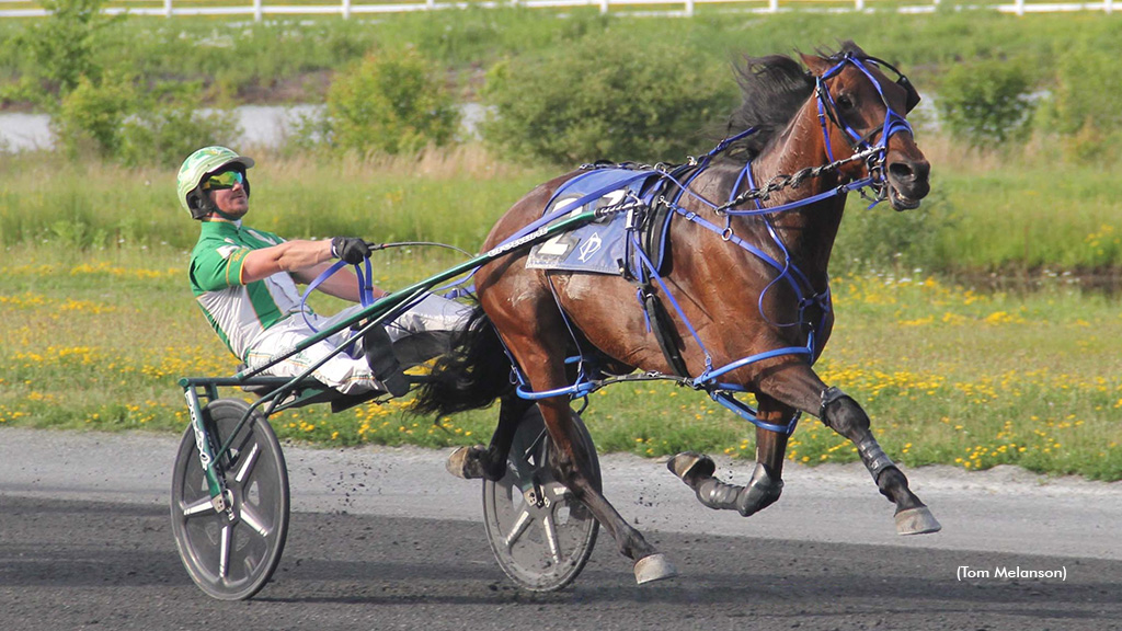 Alex Having Fun Stuns With Plainridge Track Record