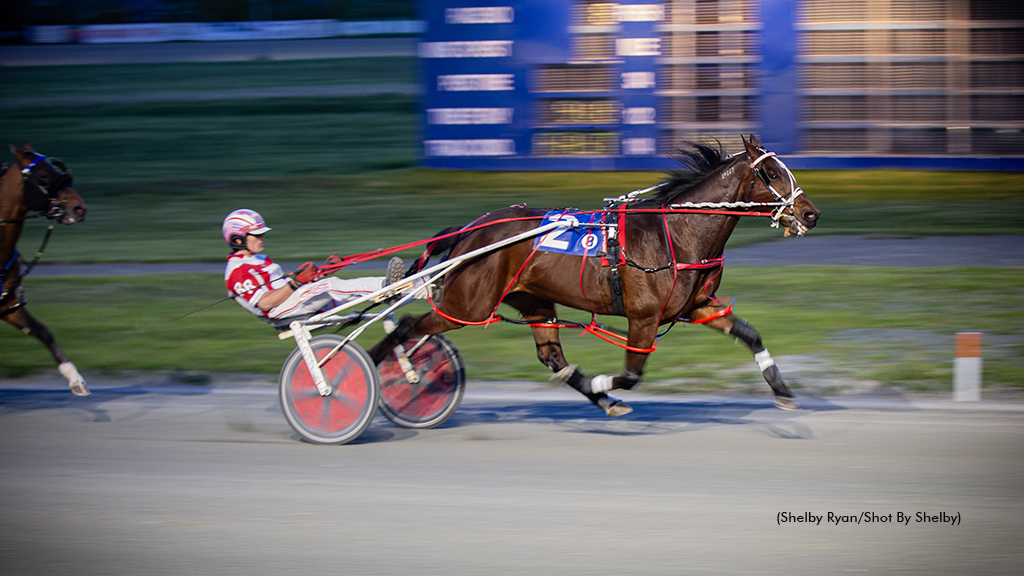 American Risk Back In The Winner's Circle At Truro