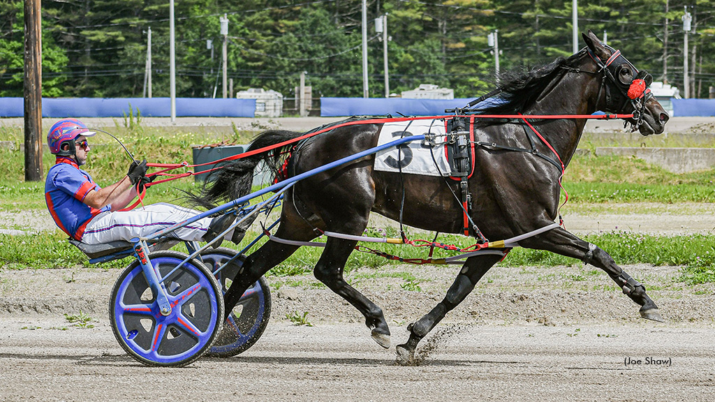 Arts Flight Wins Feature Before Cumberland Card Cut Short
