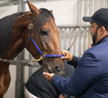 Facebook Put Besim Odza On-Track for the North America Cup