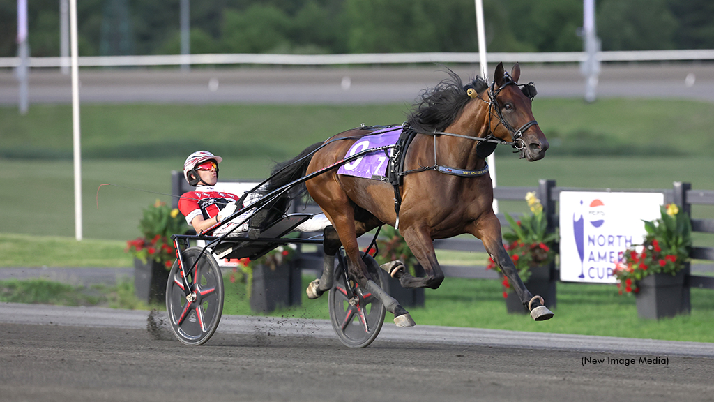 Bourbonista S Crushes The Competition In Armbro Flight Upset
