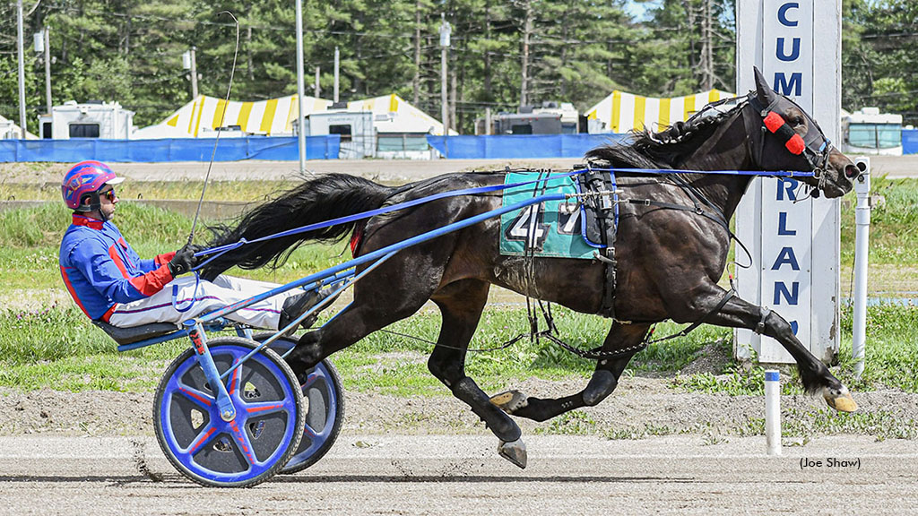Brutalizer Wins First Tracks Cumberland's Saturday Feature