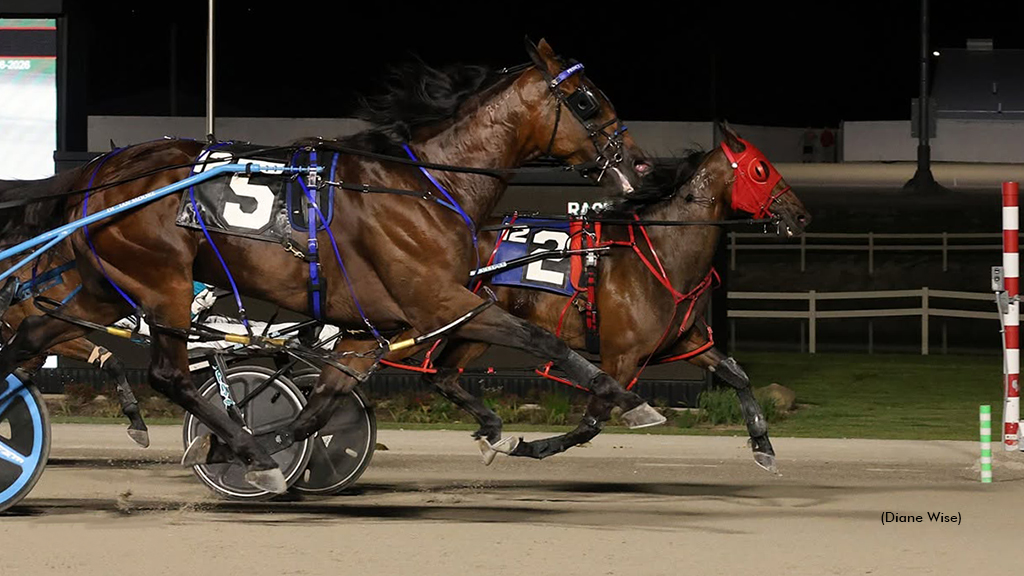 Mossdale Ben N By A Nose In Battle Of Lake Erie