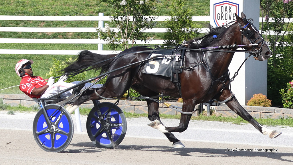 Muskateer Hanover