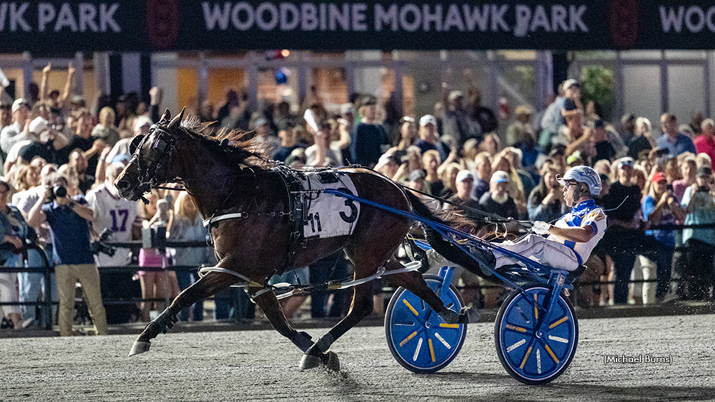 Odds On Mr Mamba winning at Woodbine Mohawk Park