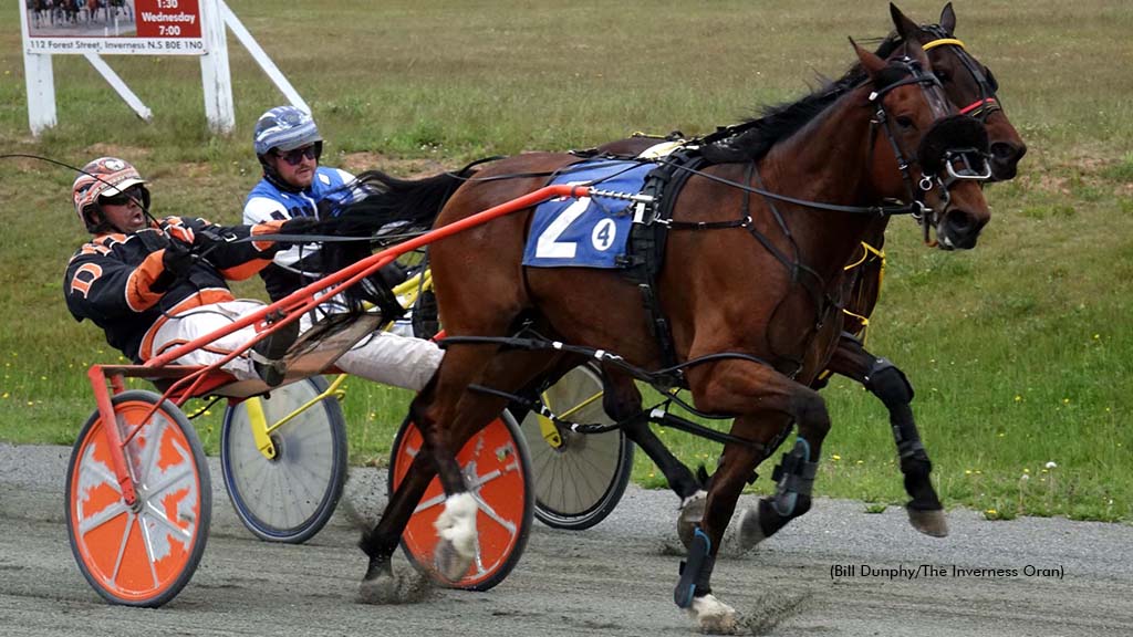 Redmond Doucet earns his 1,000th career driving win in rein to Dirty Bobby