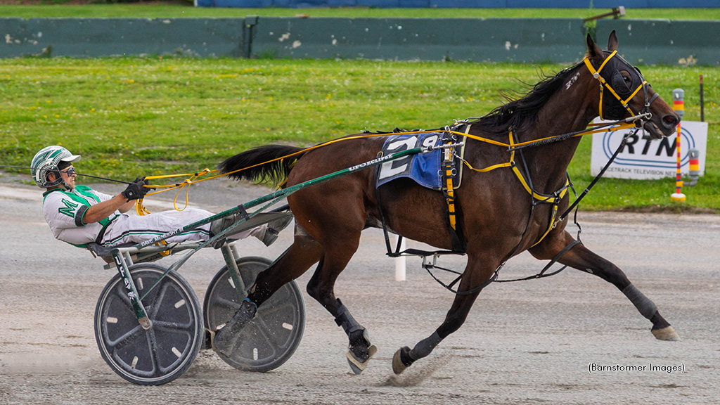 Shine All The Way Stars In McNeight Quintuple