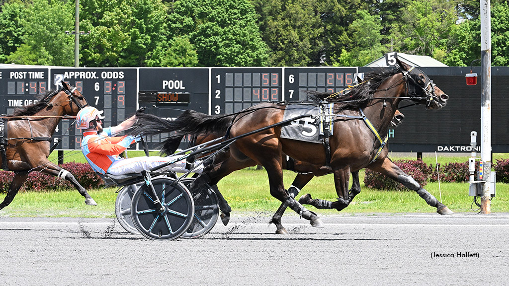 Spaaaanzano On Top At The Spa