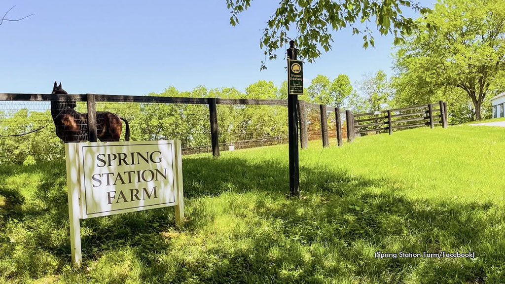 Spring Station Farm