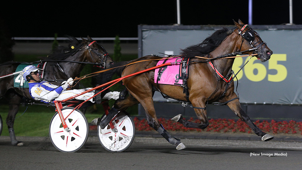 Strobe Lite Shines In Ontario Sires Stakes Gold