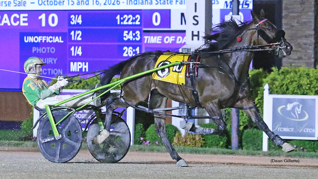 Swiss Lights Spoils Odds On Mr Mamba's Homecoming