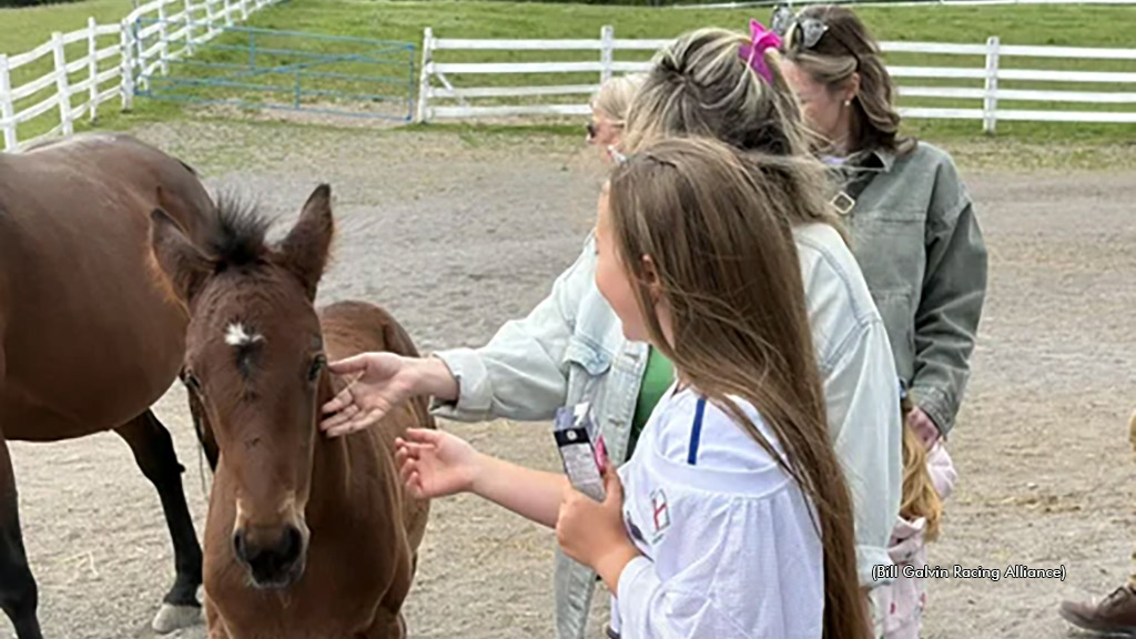 Attendees at the 2026 Rankin Open House meeting a foal