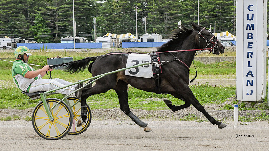 Wilder N Idy, Hayden Star In Maine Sire Stakes