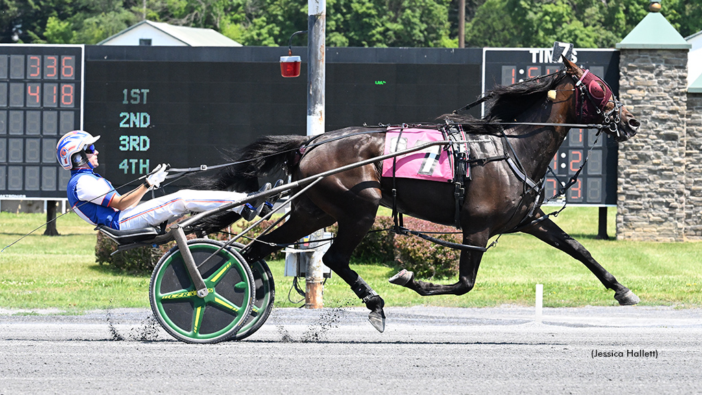 Wolfpack Zach Wins Another Open At Saratoga