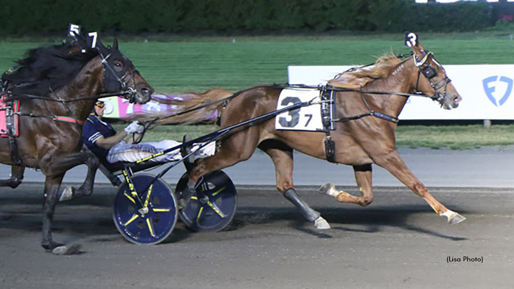 Ygritte Extends Perfect Seasonal Streak At Big M