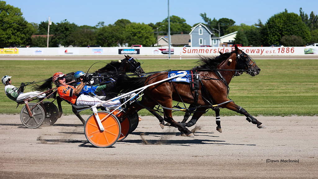 Arbitrage Hanover Breaks Record In Governor's Plate Elim