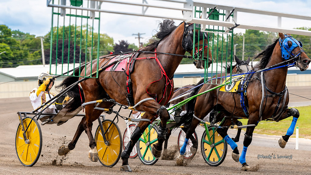 Horses behind the gate at Batavia Downs