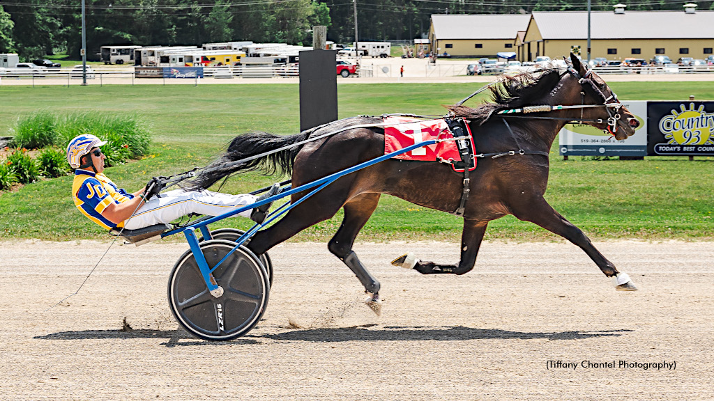 Ladies First On Harness The Hope Day At Hanover