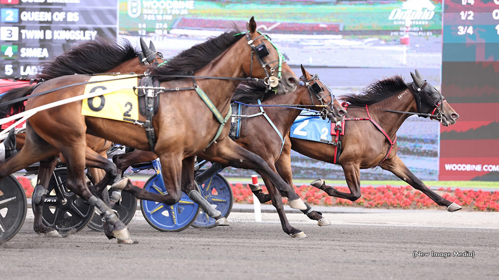 Rookie Fillies Rise To The Occasion In OSS Golds