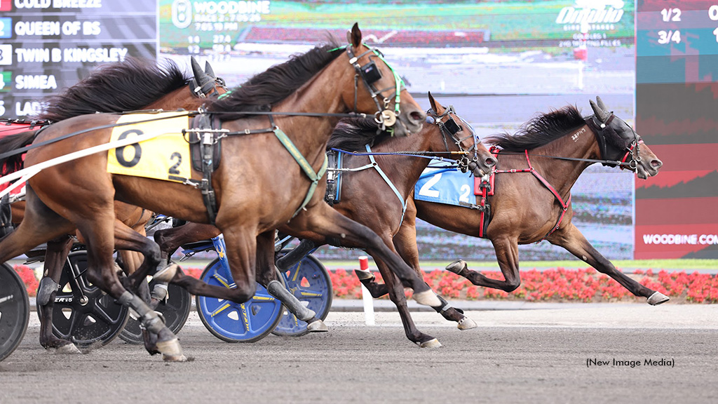 Rookie Fillies Rise To The Occasion In OSS Golds