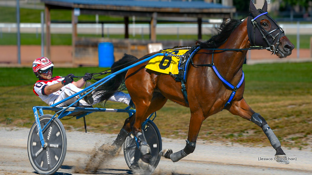 Royal Beluga Comes Up Big In Hayter Memorial