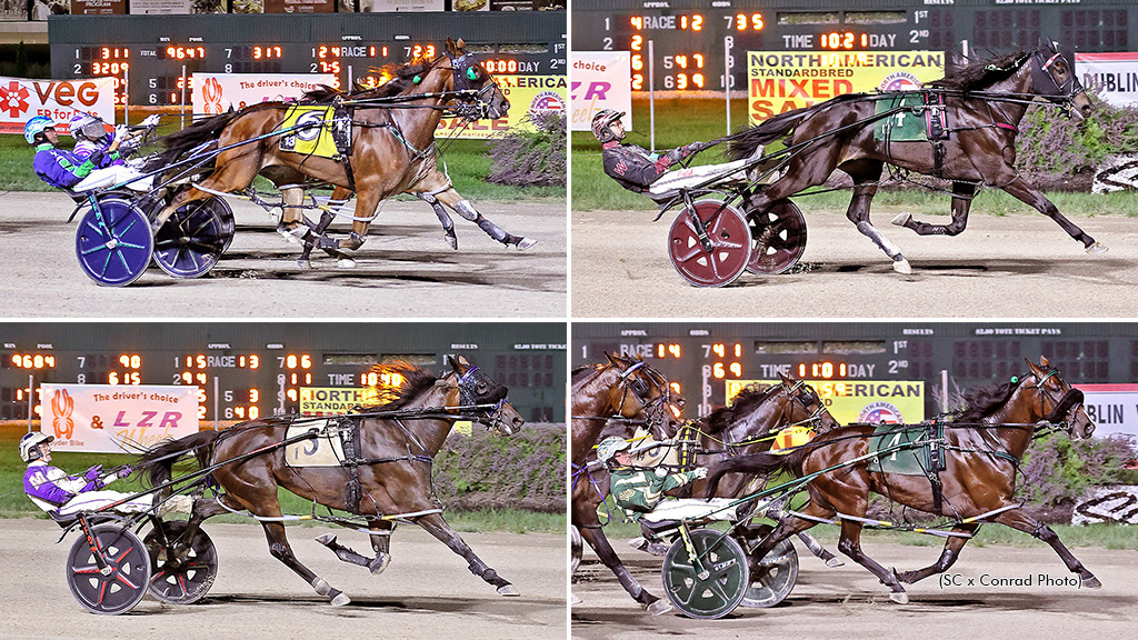 A collage of the winning horses of the Grade 3 events