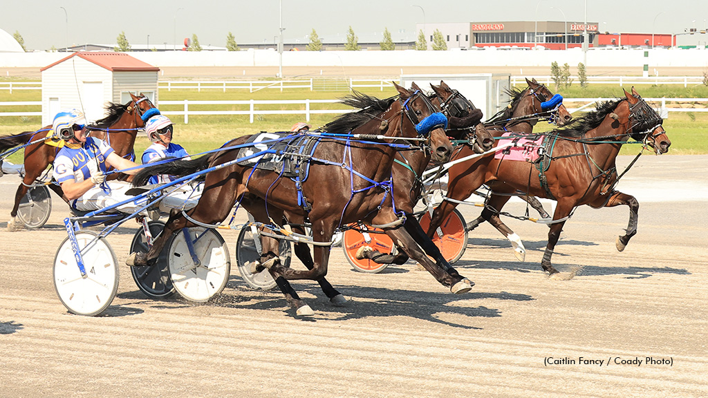 Sophomores Feature On Stakes-Filled Card At Century
