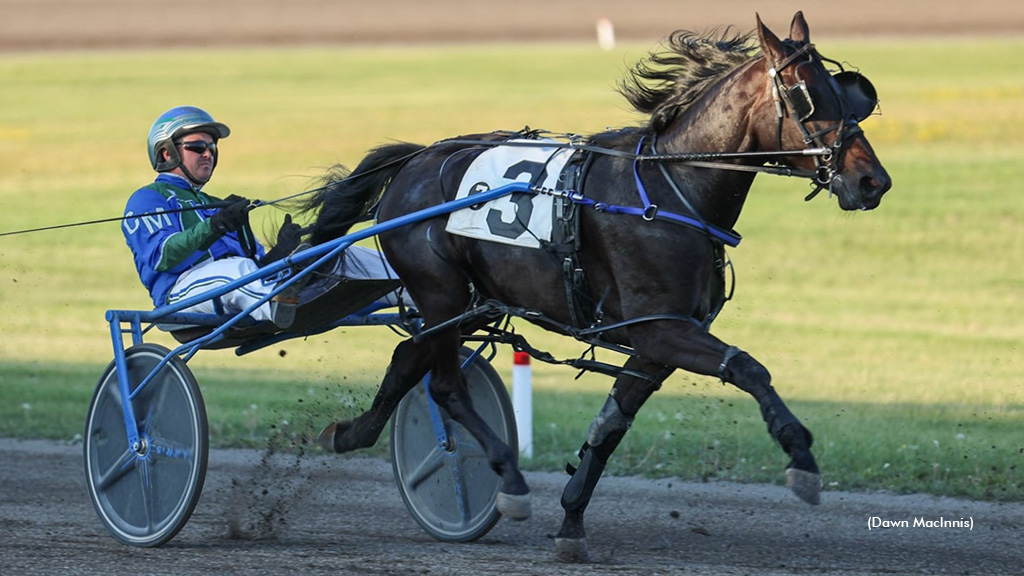 Woodmere Dougal