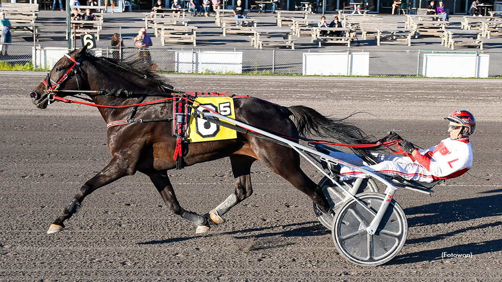 Big Al M winning at Vernon Downs
