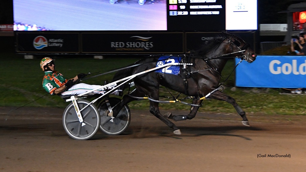 Big Heart N Soul Captures P.E.I. Colt Stakes Gold