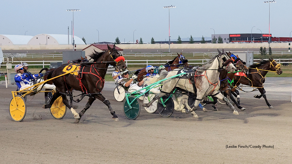 Grey Sea Prevails In A Mares Preferred Photo Finish