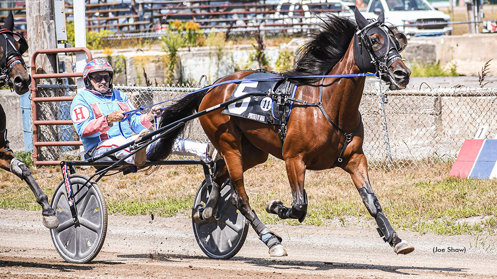 Maine Trotters Tussle At Topsham