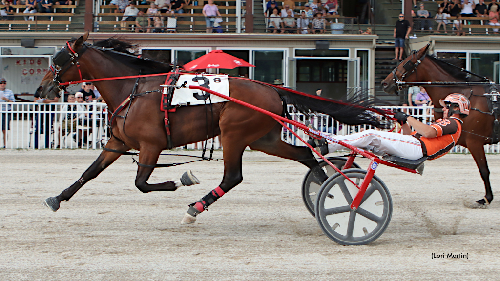 Mr Predictable winning the Balanced Image Trot