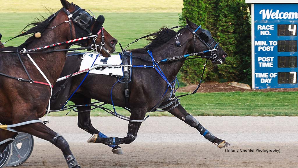 No Plan Intended winning at Grand River Raceway