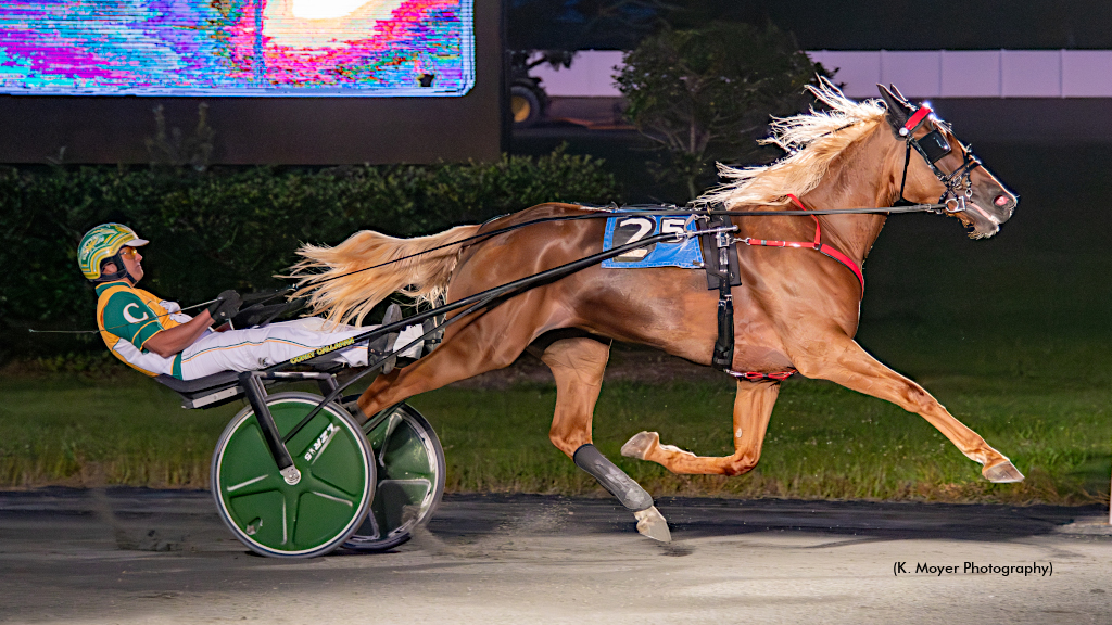 Nobody Knows It Dominates Again In MDSS