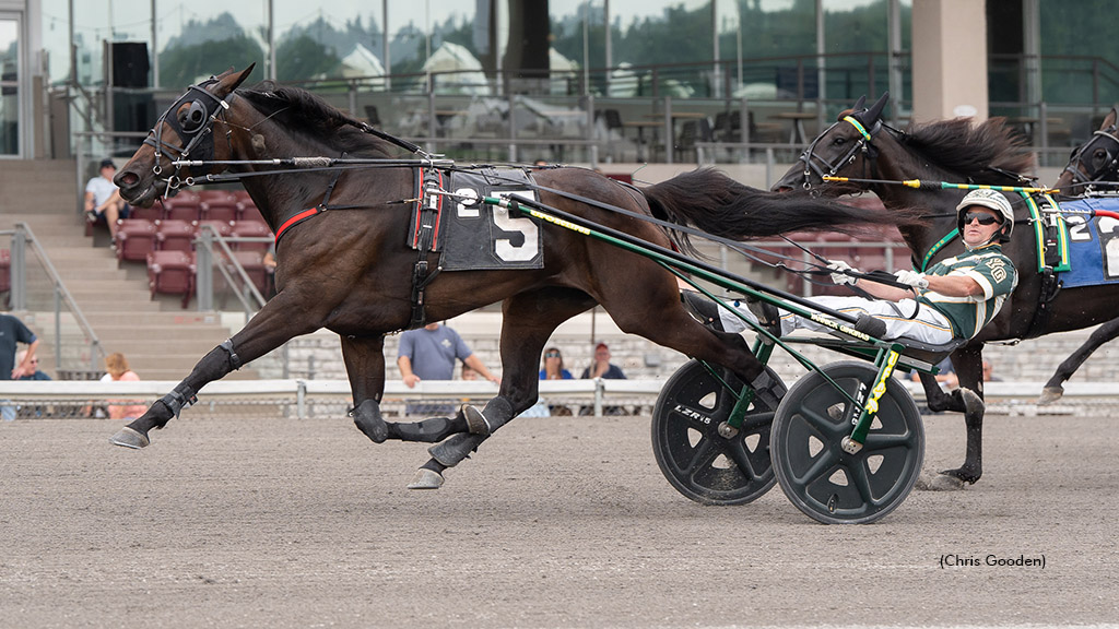 Shimmering Hanover winning at The Meadows