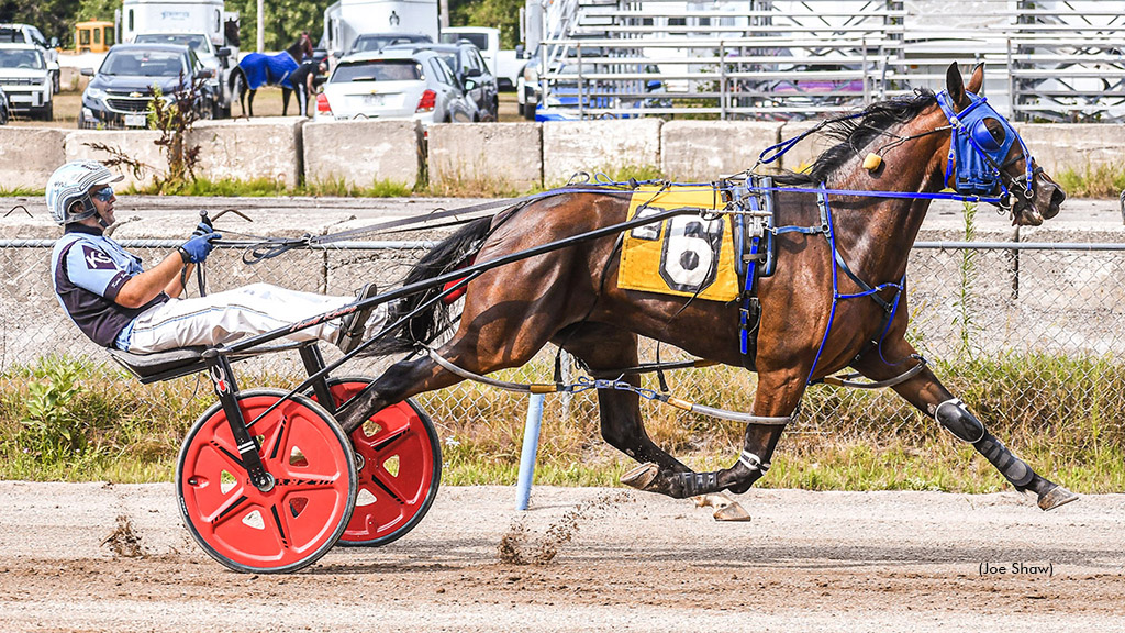 Snowonthepines Continues To Dominate Maine Fillies