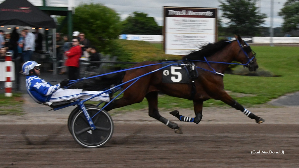 Stunning Speed Stays Unbeaten With P.E.I. Colt Stakes Score