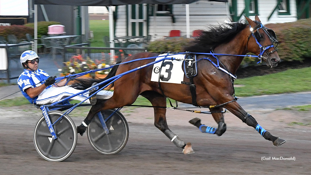 Little Louis, Stunning Speed Extend Streaks In Lady Slipper