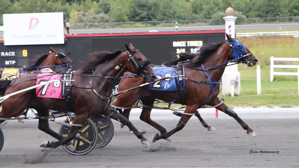 WildBillWyatt-081726-TomMelanson-1024px