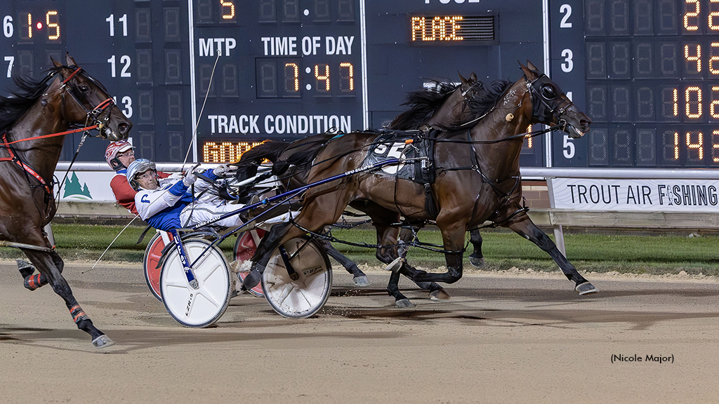 Alta Revelry N winning at Running Aces