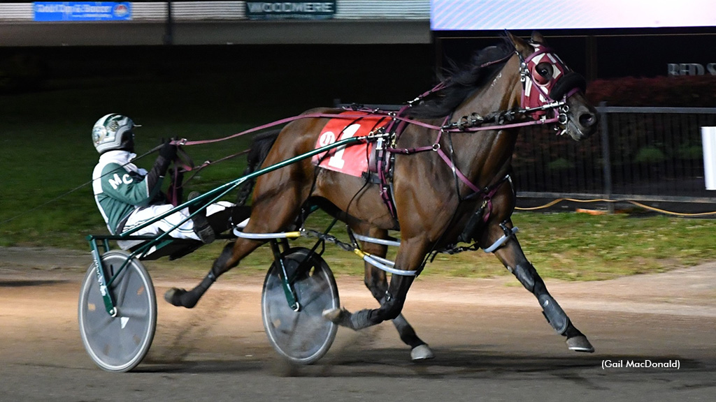 Lady Cafe Au Lait Sets CDP Record As Streak Hits 14